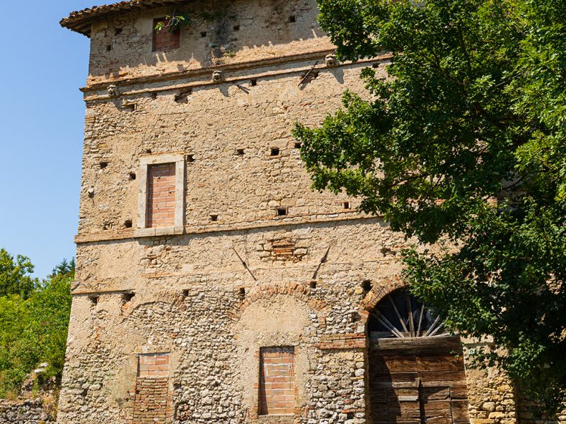 viridarium1 viridarium1