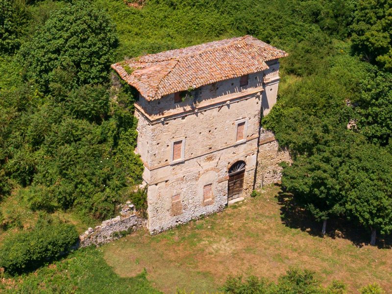 viridarium3 viridarium3